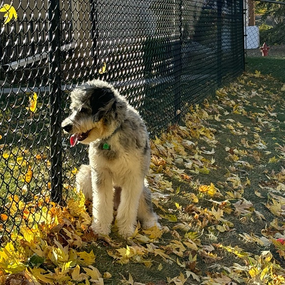 Meet your Posher, Erin - Picture 8 of 11